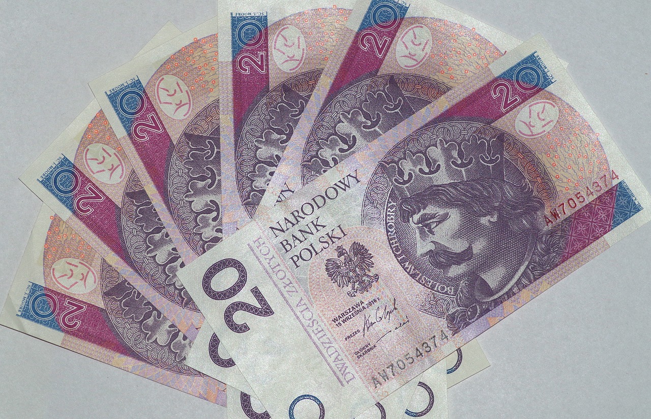 Investing in a Green Future: The Rise of ESG Funds